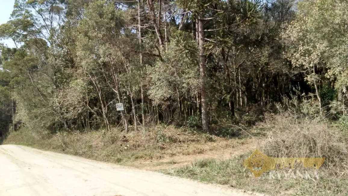 Foto 6 de Chácara à venda, 121000m2 em Mallet - PR