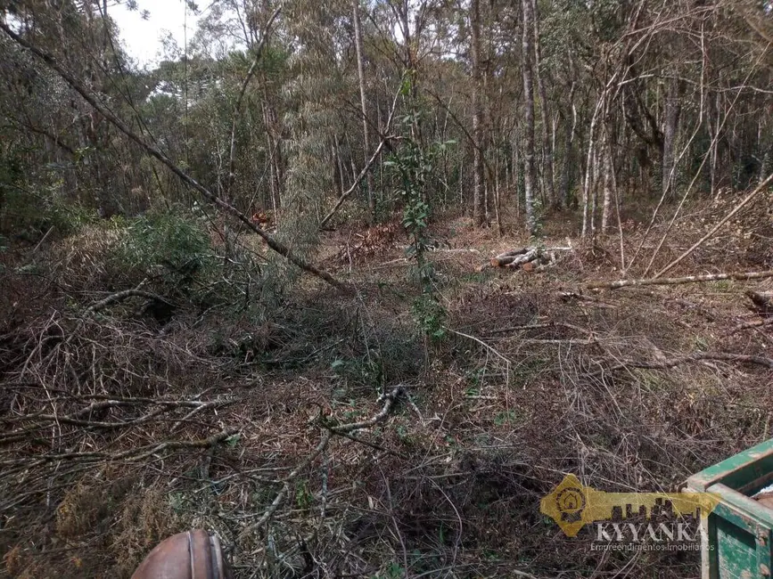 Foto 8 de Chácara à venda, 121000m2 em Mallet - PR