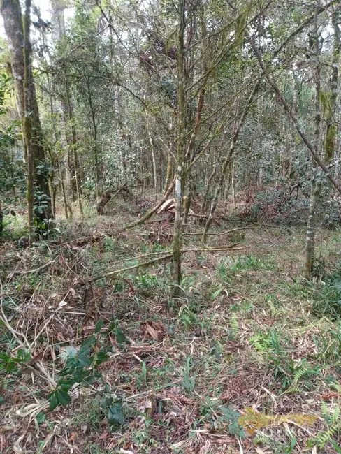 Foto 11 de Chácara à venda, 121000m2 em Mallet - PR