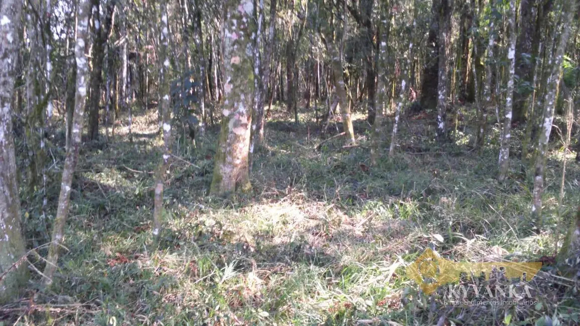 Foto 7 de Chácara à venda, 121000m2 em Mallet - PR