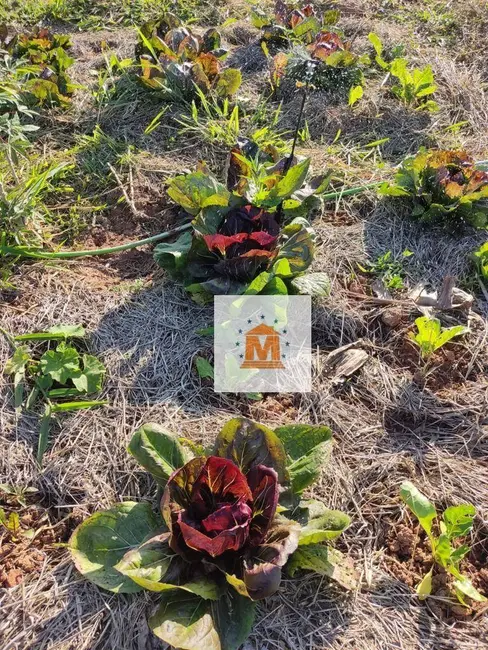 Foto 6 de Sítio / Rancho com 3 quartos à venda, 108900m2 em Bandeira Branca, Jacarei - SP