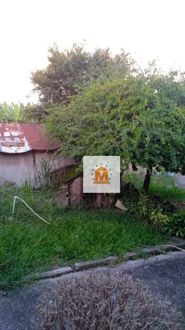 Casa com 4 quartos à venda, 1487m2 em Jardim Esperança, Jacarei - SP - imagem 5 Foto 5 de Casa com 4 quartos à venda, 1487m2 em Jardim Esperança, Jacarei - SP