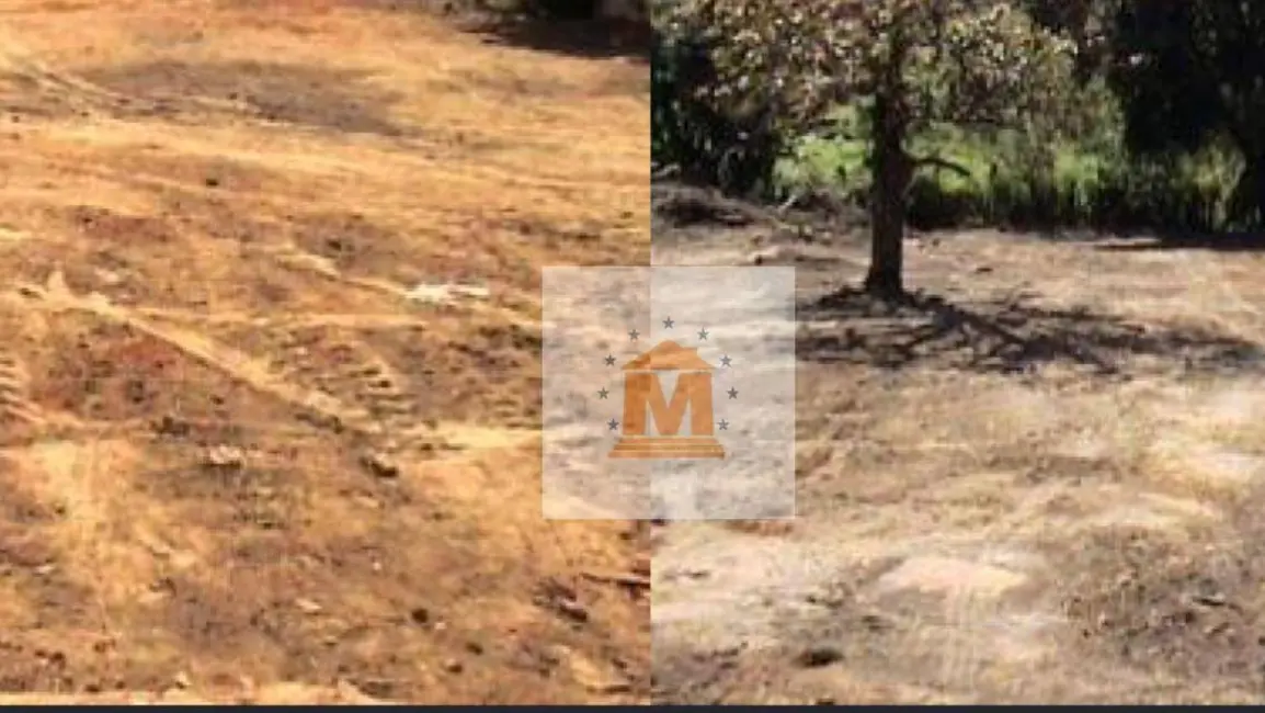 Foto 3 de Terreno / Lote à venda, 7500m2 em Rio Comprido, Jacarei - SP