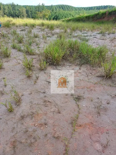 Terreno / Lote à venda, 1300m2 em Paraibuna - SP - imagem 7 Foto 7 de Terreno / Lote à venda, 1300m2 em Paraibuna - SP