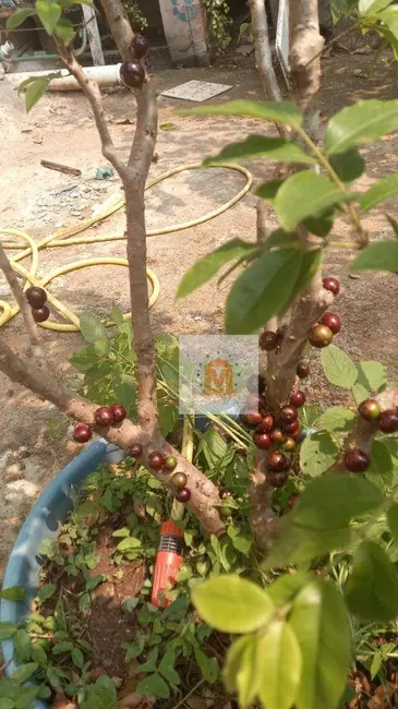 Foto 3 de Casa com 2 quartos à venda, 330m2 em Sao Jose Dos Campos - SP