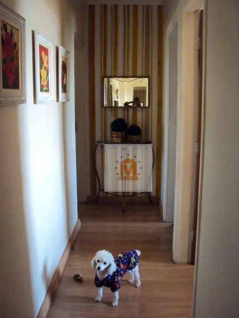 Foto 4 de Apartamento com 3 quartos à venda, 100m2 em Centro, Jacarei - SP