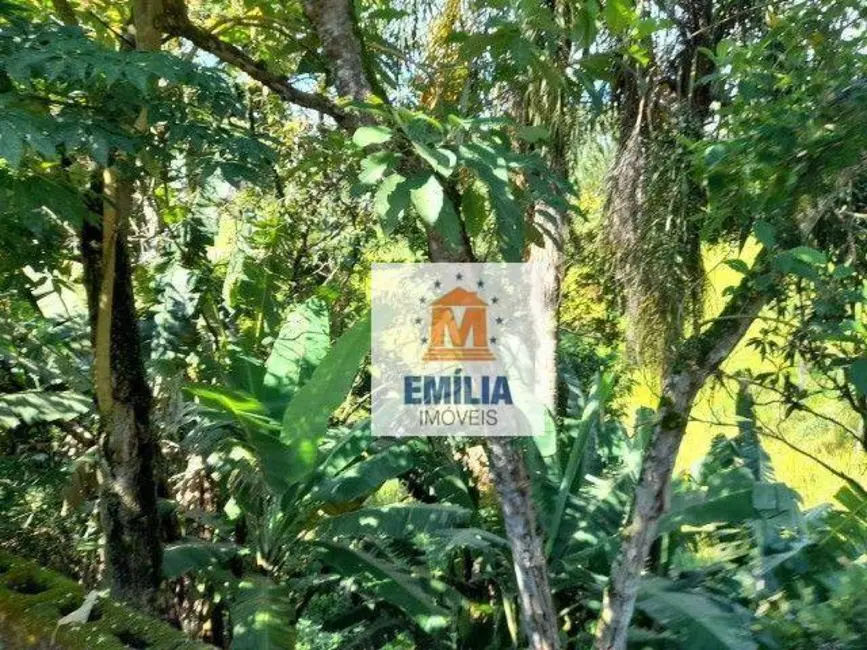 Foto 2 de Chácara com 4 quartos à venda, 2500m2 em Veraneio Ijal, Jacarei - SP