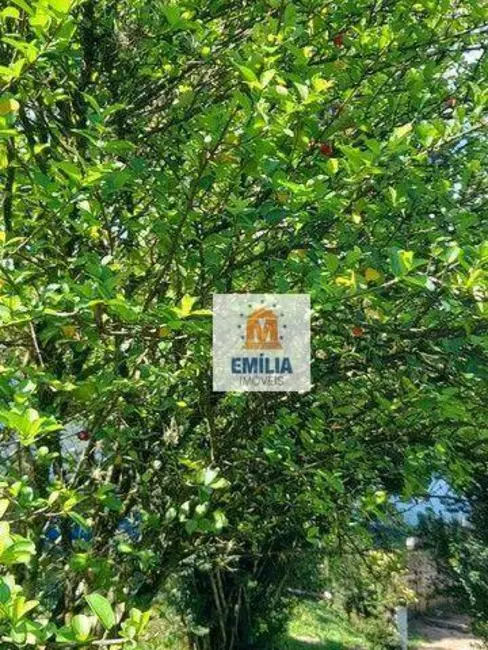 Foto 8 de Chácara com 4 quartos à venda, 2500m2 em Veraneio Ijal, Jacarei - SP