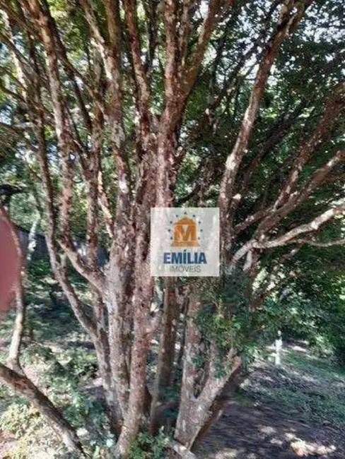 Foto 9 de Chácara com 4 quartos à venda, 2500m2 em Veraneio Ijal, Jacarei - SP