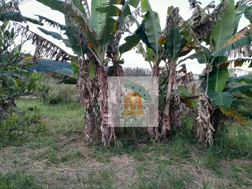 Foto 7 de Chácara com 4 quartos à venda, 3500m2 em Chácara Itapoã, Jacarei - SP