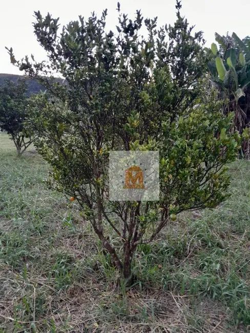 Foto 4 de Chácara com 4 quartos à venda, 3500m2 em Chácara Itapoã, Jacarei - SP