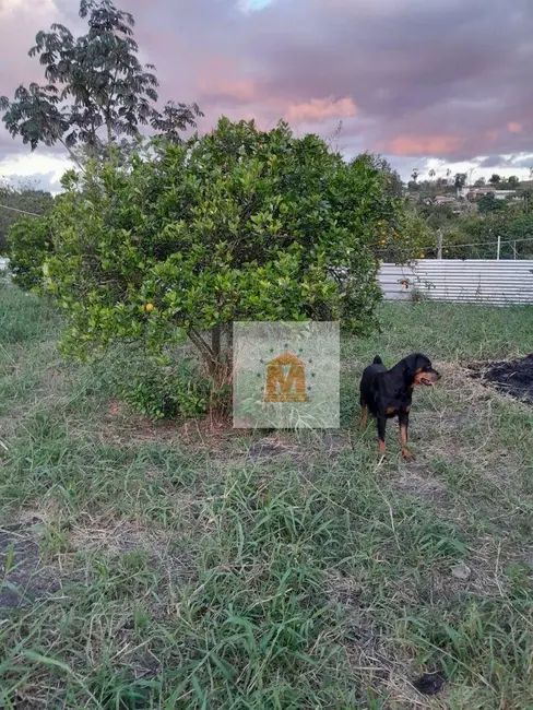 Foto 5 de Chácara com 4 quartos à venda, 3500m2 em Chácara Itapoã, Jacarei - SP