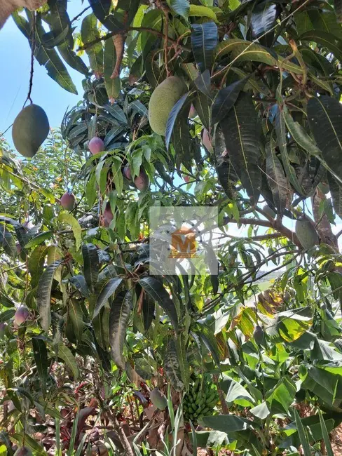 Casa com 2 quartos à venda, 68m2 em Parque Imperial, Jacarei - SP - imagem 9 Foto 9 de Casa com 2 quartos à venda, 68m2 em Parque Imperial, Jacarei - SP