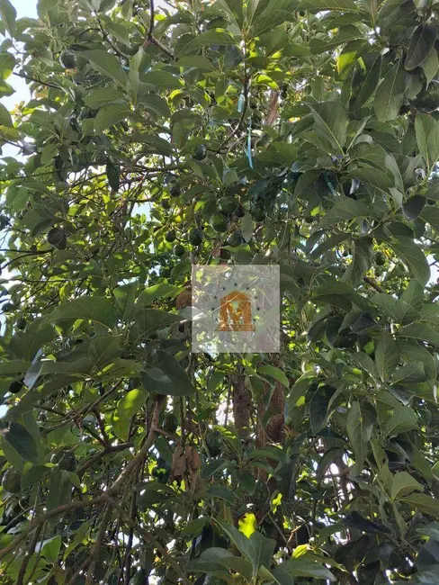 Casa com 2 quartos à venda, 68m2 em Parque Imperial, Jacarei - SP - imagem 8 Foto 8 de Casa com 2 quartos à venda, 68m2 em Parque Imperial, Jacarei - SP