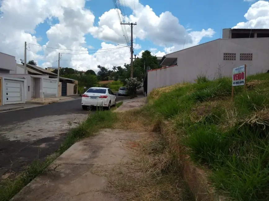 Terreno / Lote à venda em Jacarezinho - PR - imagem 10 Foto 10 de Terreno / Lote à venda em Jacarezinho - PR