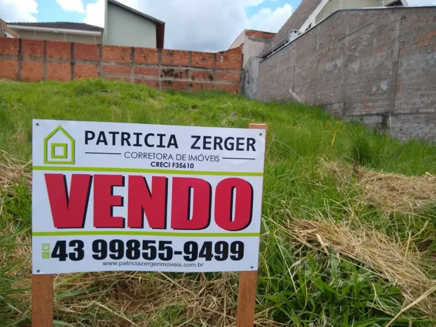 Terreno / Lote à venda em Jacarezinho - PR - imagem 4 Foto 4 de Terreno / Lote à venda em Jacarezinho - PR