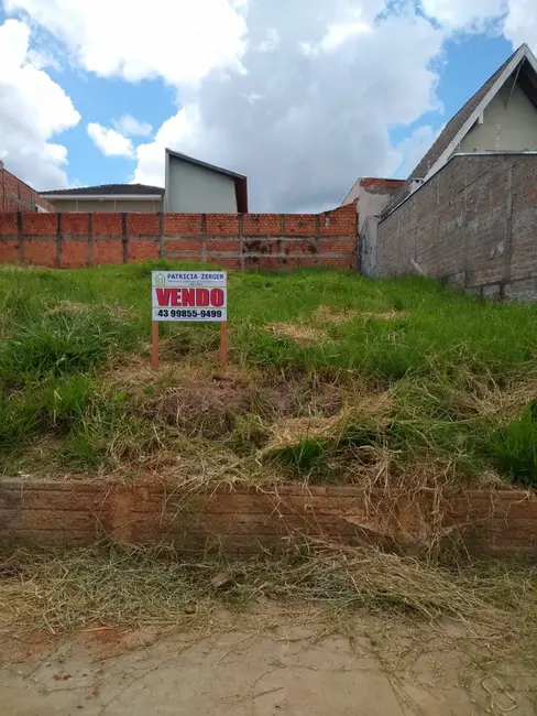 Foto 2 de Terreno / Lote à venda em Jacarezinho - PR