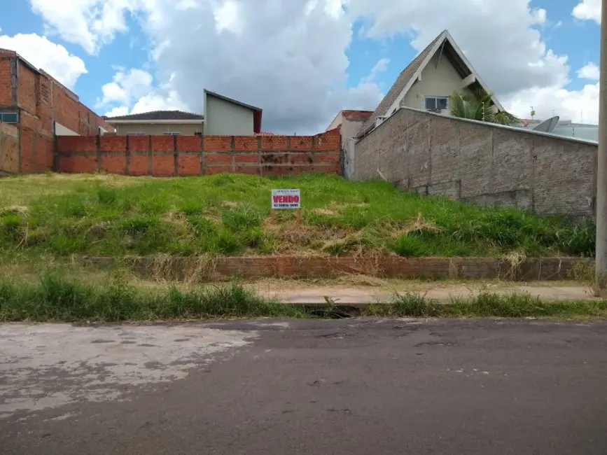 Terreno / Lote à venda em Jacarezinho - PR - imagem 8 Foto 8 de Terreno / Lote à venda em Jacarezinho - PR