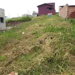 Imagem 7