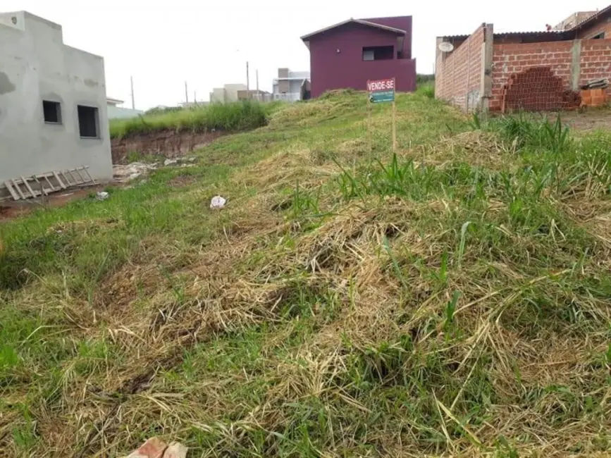 Terreno / Lote à venda em Jacarezinho - PR - imagem 7 Foto 7 de Terreno / Lote à venda em Jacarezinho - PR
