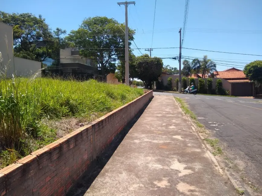 Terreno / Lote à venda em Jacarezinho - PR - imagem 3 Foto 3 de Terreno / Lote à venda em Jacarezinho - PR