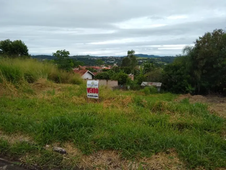 Foto 2 de Terreno / Lote à venda em Jacarezinho - PR