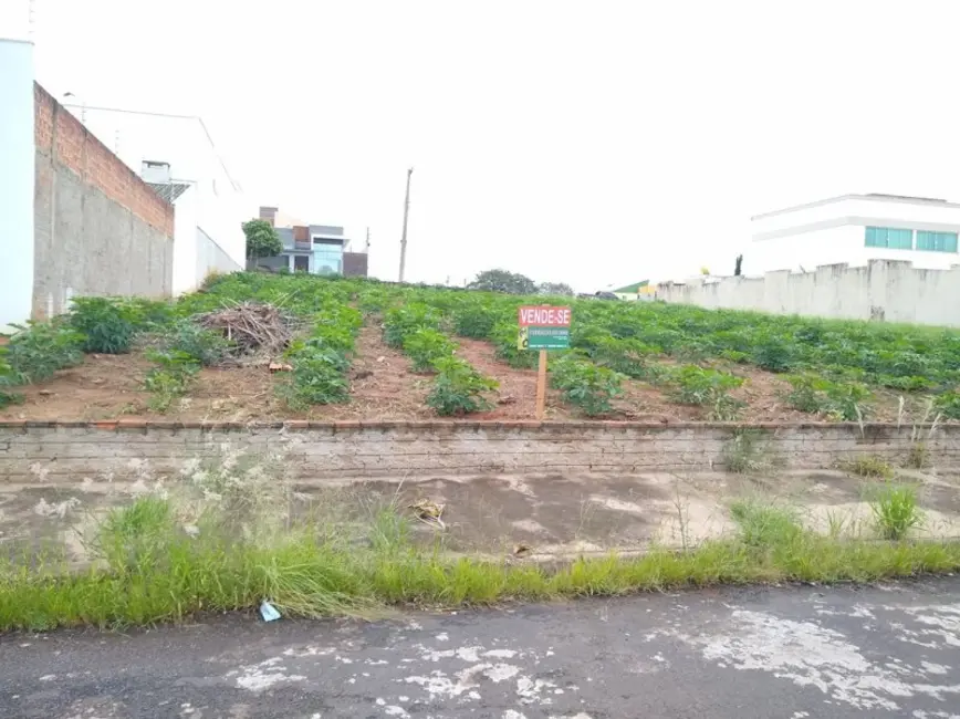 Terreno / Lote à venda em Jacarezinho - PR - imagem 8 Foto 8 de Terreno / Lote à venda em Jacarezinho - PR