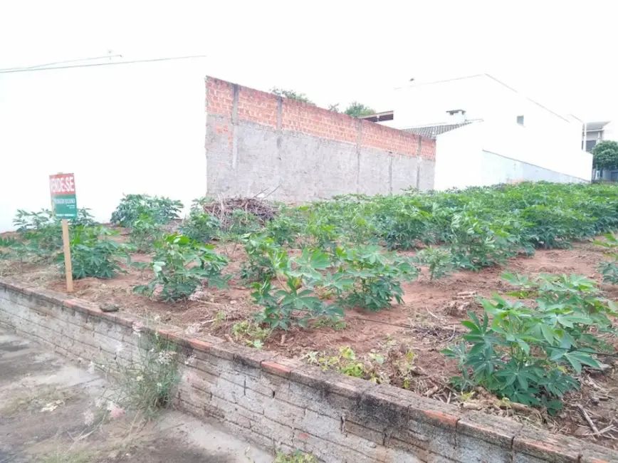 Terreno / Lote à venda em Jacarezinho - PR - imagem 5 Foto 5 de Terreno / Lote à venda em Jacarezinho - PR