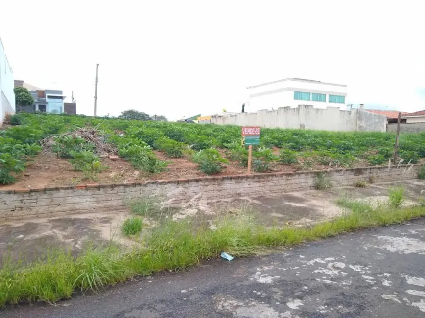 Terreno / Lote à venda em Jacarezinho - PR - imagem 6 Foto 6 de Terreno / Lote à venda em Jacarezinho - PR