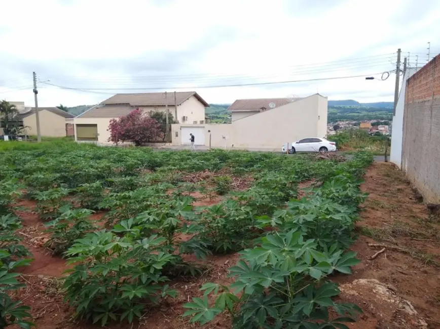 Terreno / Lote à venda em Jacarezinho - PR - imagem 4 Foto 4 de Terreno / Lote à venda em Jacarezinho - PR