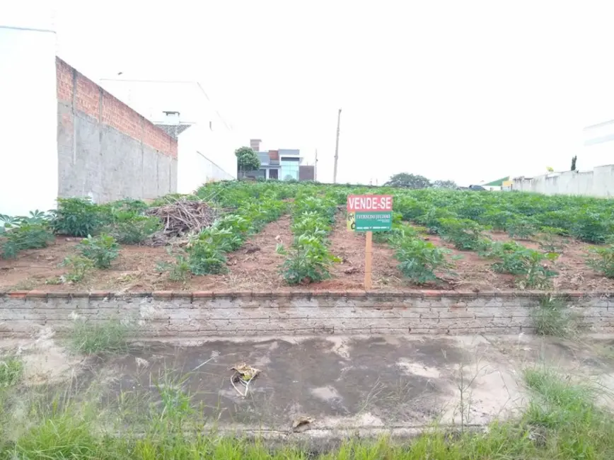 Terreno / Lote à venda em Jacarezinho - PR - imagem 7 Foto 7 de Terreno / Lote à venda em Jacarezinho - PR