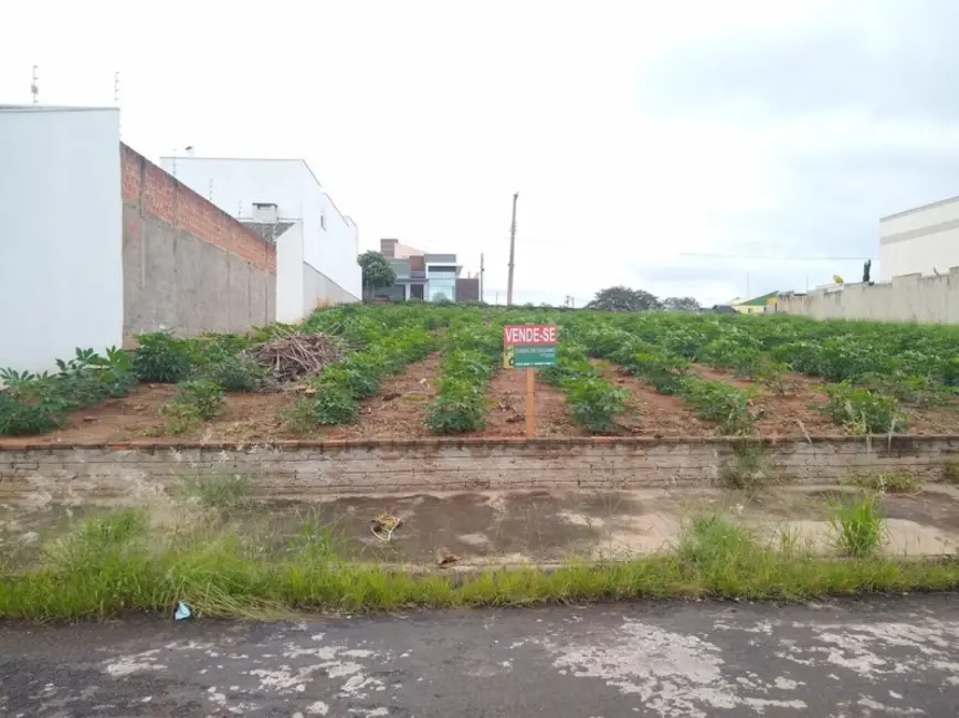 Foto 1 de Terreno / Lote à venda em Jacarezinho - PR