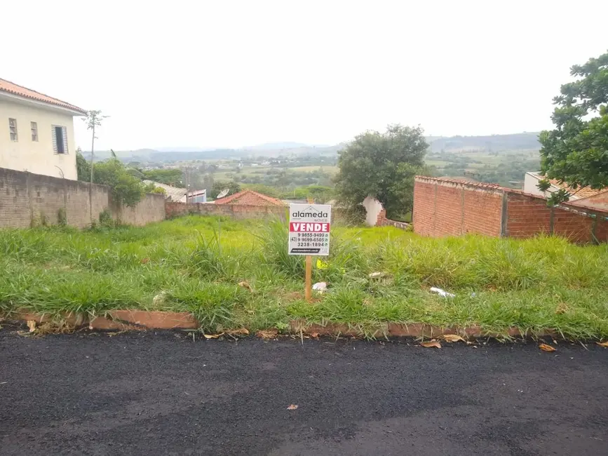 Terreno / Lote à venda em Jacarezinho - PR - imagem 6 Foto 6 de Terreno / Lote à venda em Jacarezinho - PR
