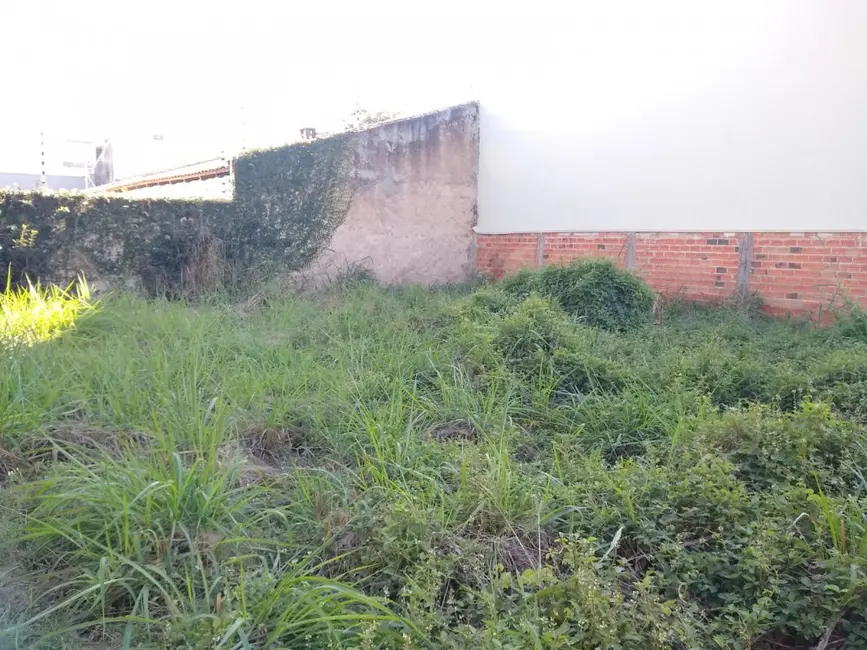 Terreno / Lote à venda em Jacarezinho - PR - imagem 9 Foto 9 de Terreno / Lote à venda em Jacarezinho - PR