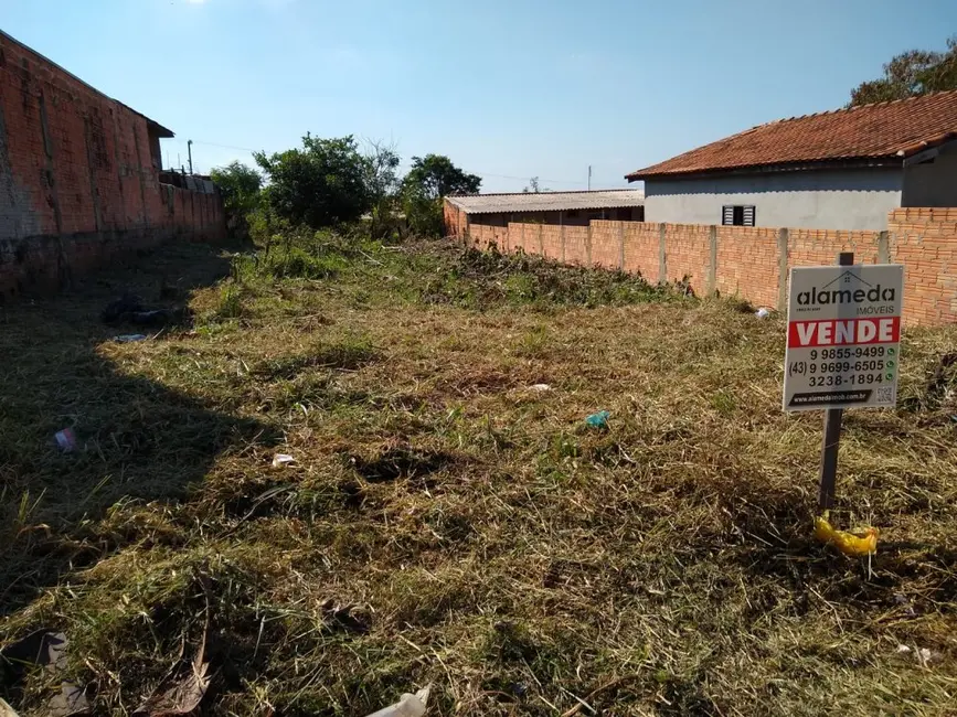 Terreno / Lote à venda em Jacarezinho - PR - imagem 6 Foto 6 de Terreno / Lote à venda em Jacarezinho - PR