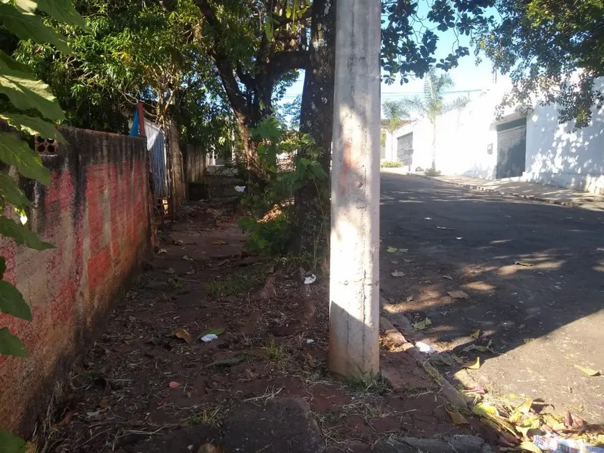 Terreno / Lote à venda em Jacarezinho - PR - imagem 5 Foto 5 de Terreno / Lote à venda em Jacarezinho - PR