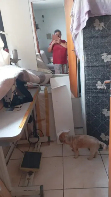 Foto 2 de Apartamento com 2 quartos à venda, 48m2 em Jardim Santa Etelvina, São Paulo - SP