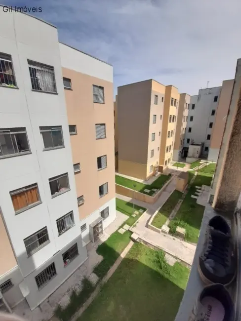 Apartamento com 2 quartos à venda, 52m2 em Conjunto Habitacional Castro Alves, São Paulo - SP - imagem 1 Foto 1 de Apartamento com 2 quartos à venda, 52m2 em Conjunto Habitacional Castro Alves, São Paulo - SP