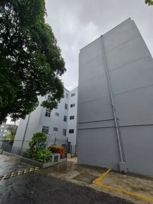 Apartamento com 2 quartos à venda, 46m2 em Conjunto Residencial José Bonifácio, São Paulo - SP - imagem 4 Foto 4 de Apartamento com 2 quartos à venda, 46m2 em Conjunto Residencial José Bonifácio, São Paulo - SP