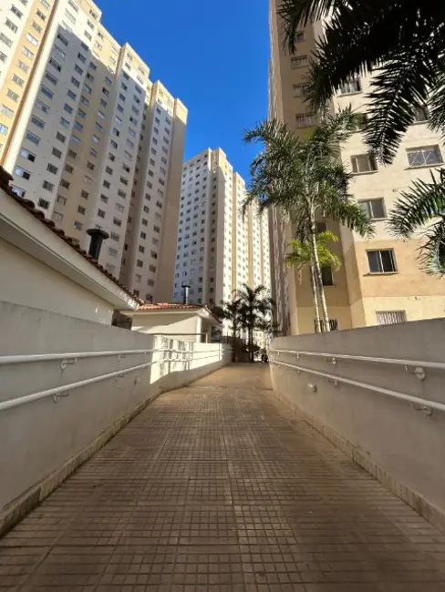 Apartamento com 2 quartos à venda, 41m2 em Colônia (Zona Leste), São Paulo - SP - imagem 2 Foto 2 de Apartamento com 2 quartos à venda, 41m2 em Colônia (Zona Leste), São Paulo - SP