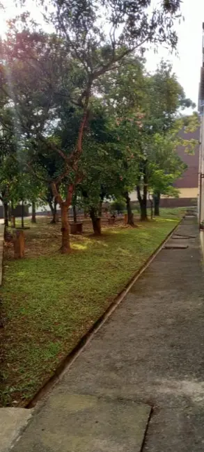 Apartamento com 2 quartos à venda, 56m2 em Chácara Santa Etelvina, São Paulo - SP - imagem 3 Foto 3 de Apartamento com 2 quartos à venda, 56m2 em Chácara Santa Etelvina, São Paulo - SP