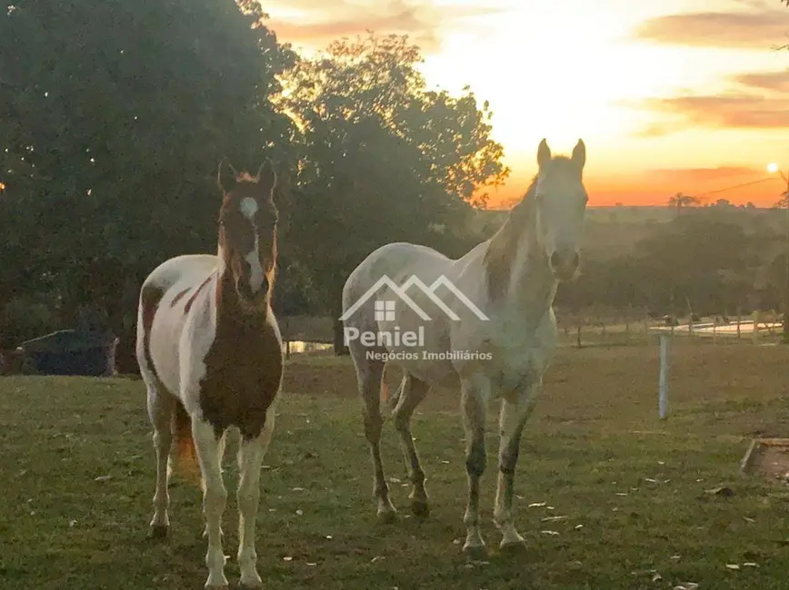 Foto 9 de Sítio / Rancho com 4 quartos à venda, 36300m2 em Cajuru - SP