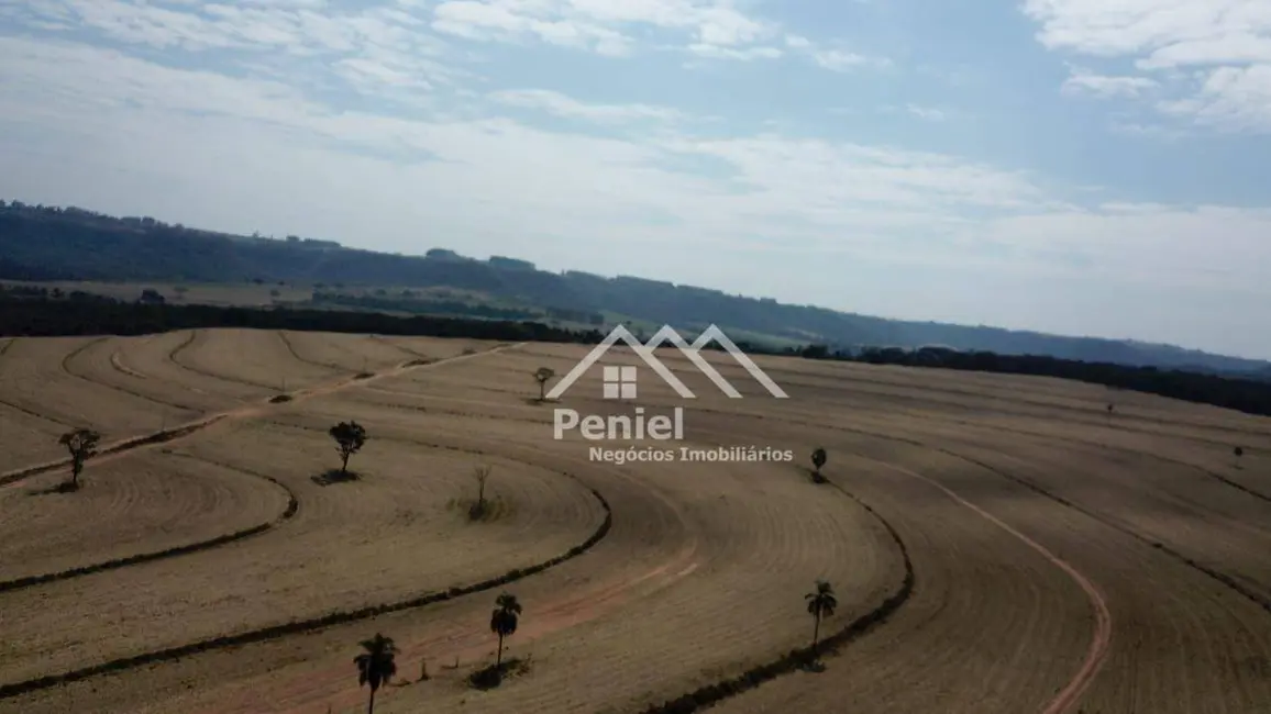 Foto 6 de Fazenda / Haras à venda, 4561700m2 em Centro, Ribeirao Bonito - SP