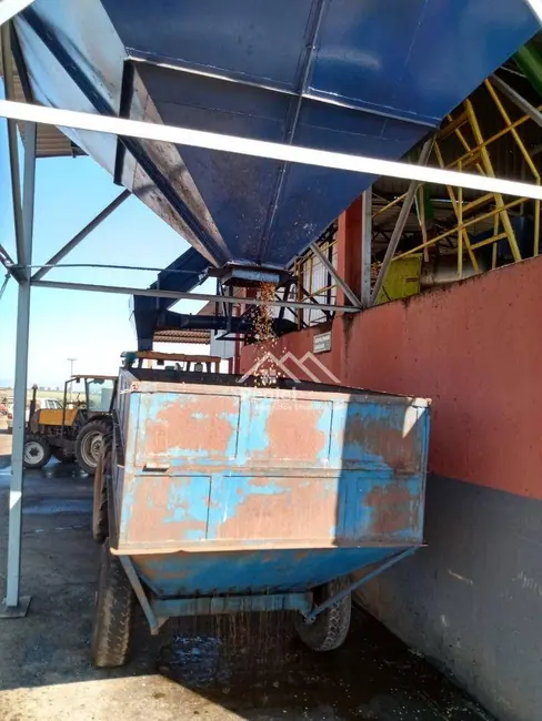 Foto 9 de Fazenda / Haras à venda, 15633200m2 em Piumhi - MG