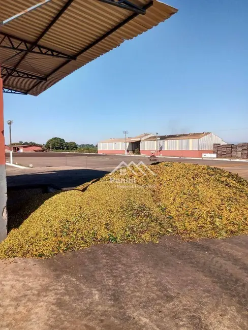 Foto 6 de Fazenda / Haras à venda, 15633200m2 em Piumhi - MG