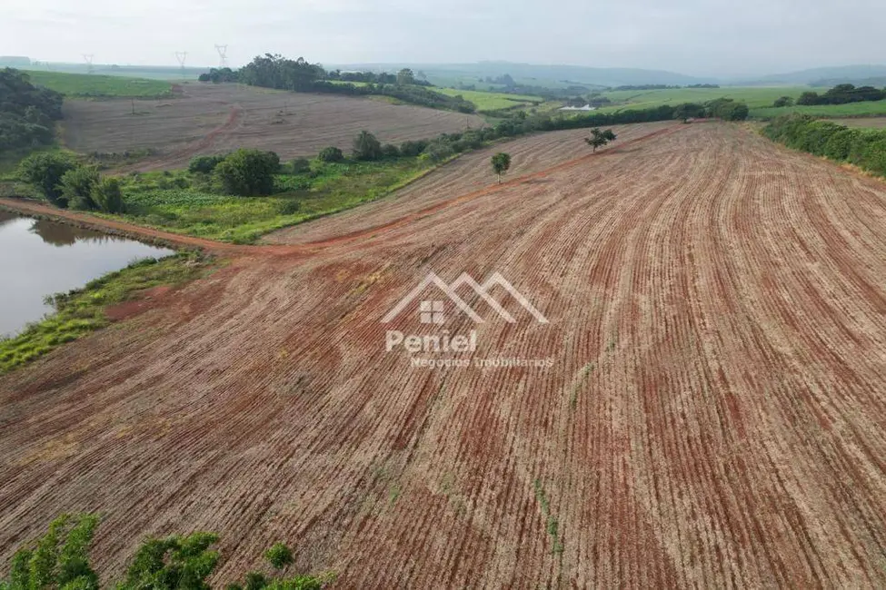 Foto 8 de Fazenda / Haras à venda, 1742400m2 em Ipaussu - SP
