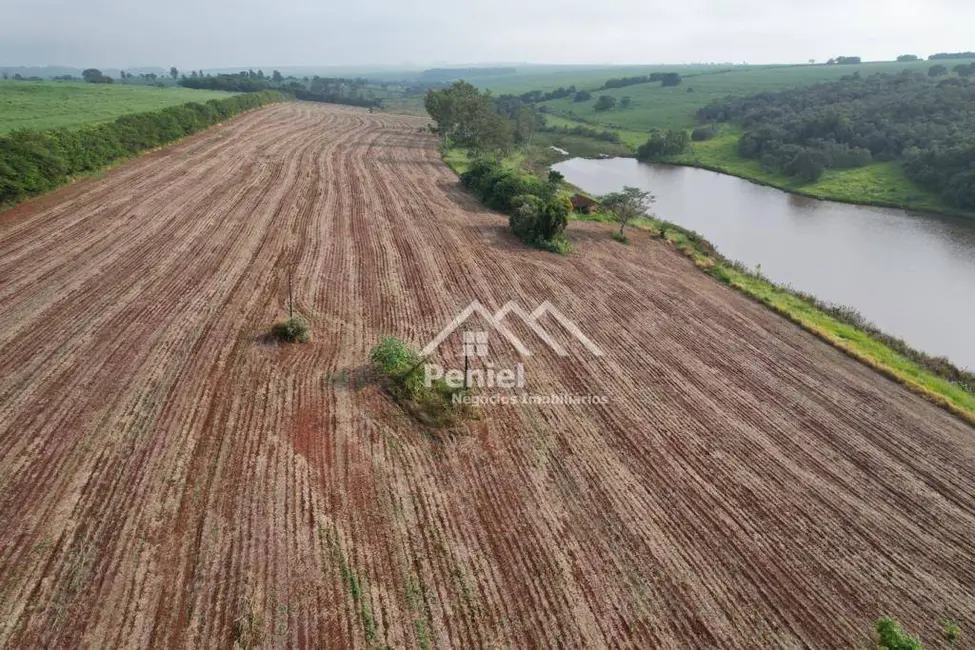 Foto 7 de Fazenda / Haras à venda, 1742400m2 em Ipaussu - SP