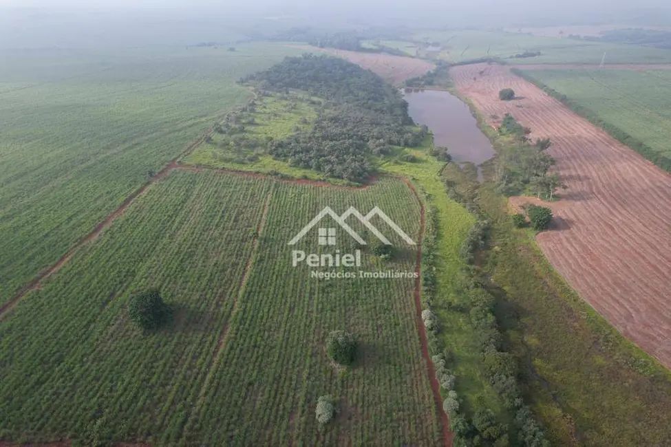 Foto 6 de Fazenda / Haras à venda, 1742400m2 em Ipaussu - SP