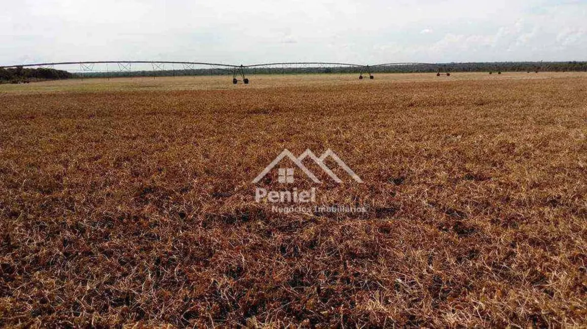 Fazenda / Haras à venda, 6730000m2 em Ipiranga Do Norte - MT - imagem 3 Foto 3 de Fazenda / Haras à venda, 6730000m2 em Ipiranga Do Norte - MT