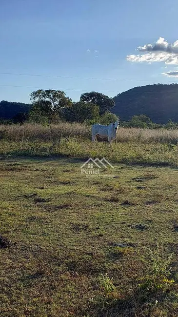 Foto 6 de Fazenda / Haras com 3 quartos à venda, 2216720m2 em Minacu - GO